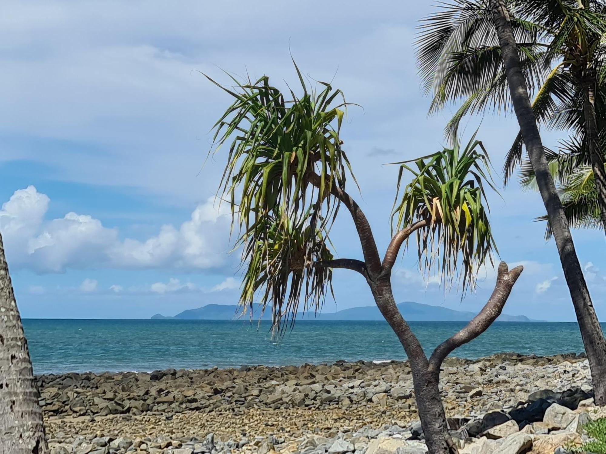 Dolphin Heads - Resort Unit - Absolute Beachfront! - Whitsunday Getaway! Mackay Ngoại thất bức ảnh