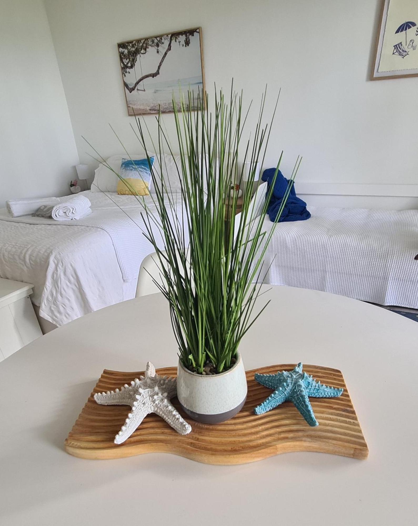 Dolphin Heads - Resort Unit - Absolute Beachfront! - Whitsunday Getaway! Mackay Ngoại thất bức ảnh